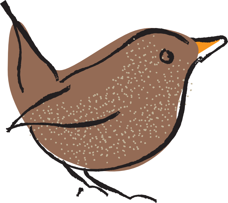 Brown bird with speckled body, looking up, outlined in black, orange beak.