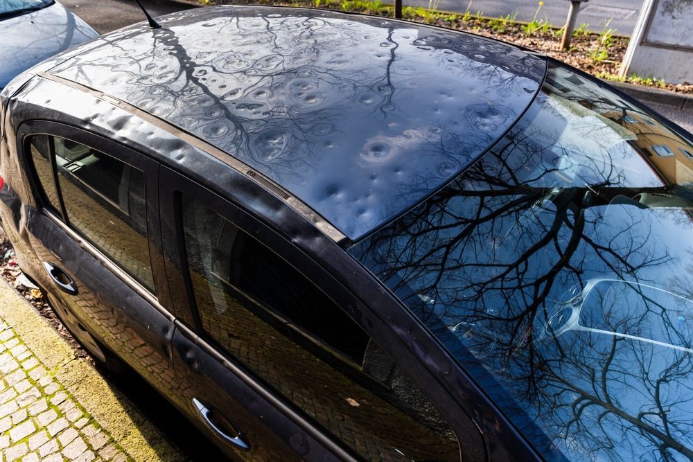 A close-up of a dark car roof heavily dented by hail, with reflections of bare tree branches visible on the surface.