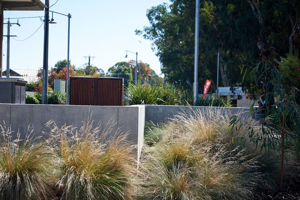 Clumps Of Dry, Golden-brown Ornamental Grasses Grow — Quarrell Civil Construction In Congupna, VIC
