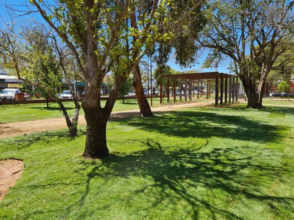 A sunny park scene featuring manicured green grass, mature trees casting long shadows, and a wooden pergola in the distance — Quarrell Civil Construction In Deniliquin, VIC