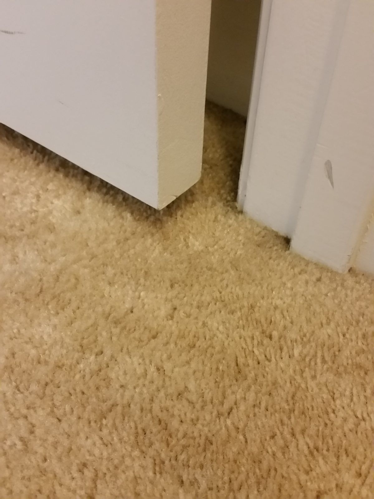 Same doorway carpet after cleaning, with the dark spots removed