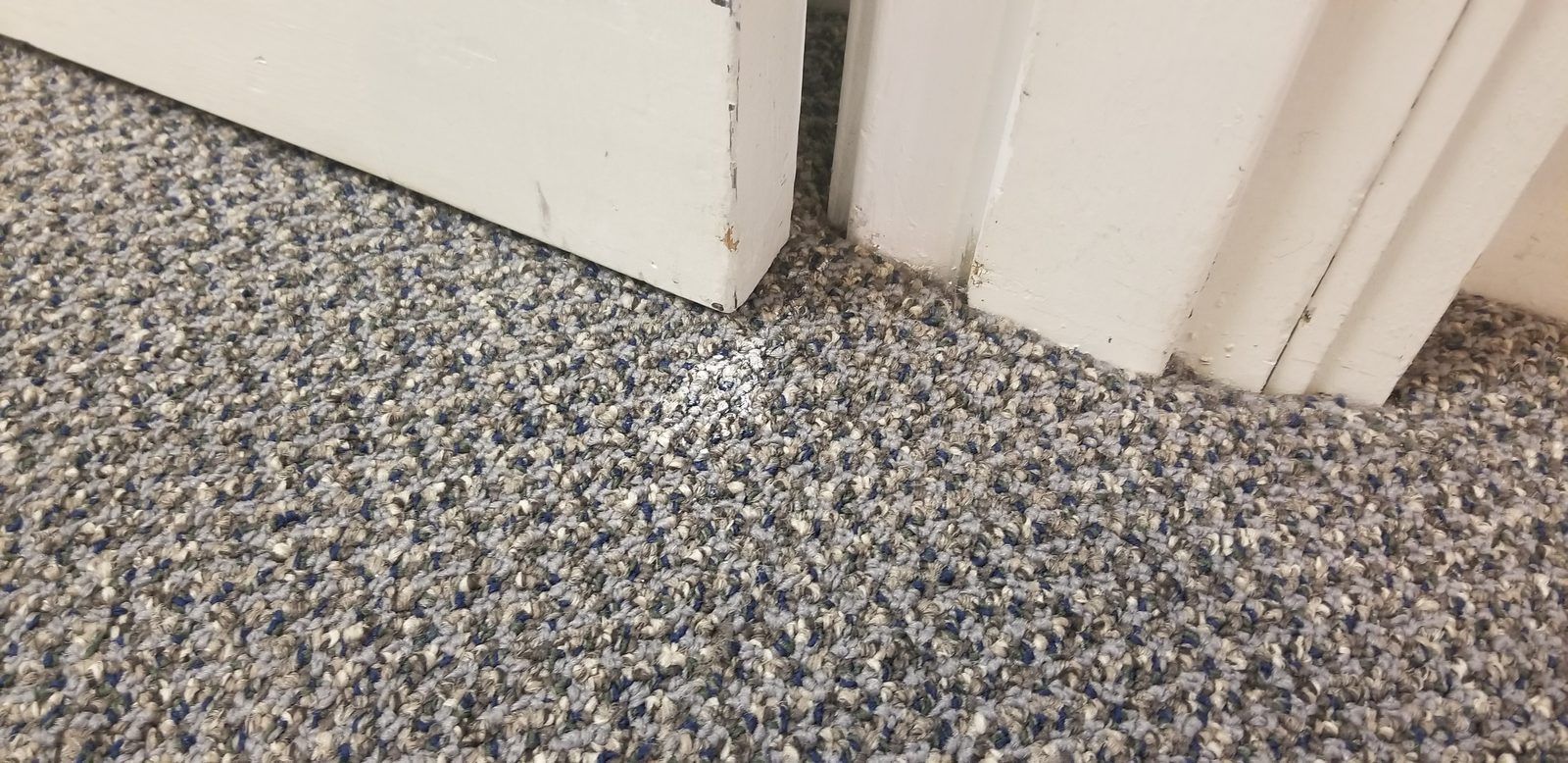 Blue and gray loop carpet at a doorway with a shiny white spot of dried paint before cleaning
