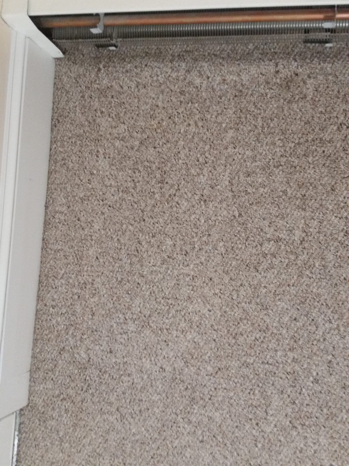 Same beige carpet after cleaning, with the rust-colored rectangle removed
