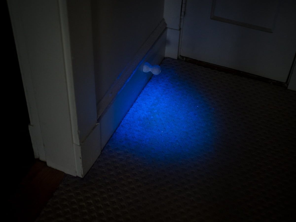 UV light shining on carpet along a baseboard to reveal stains the eye cannot see