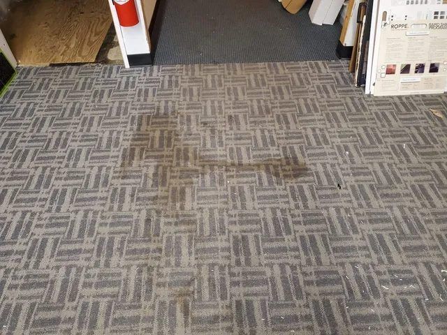 Coffee spill stain on commercial carpet at an office entrance before spot removal