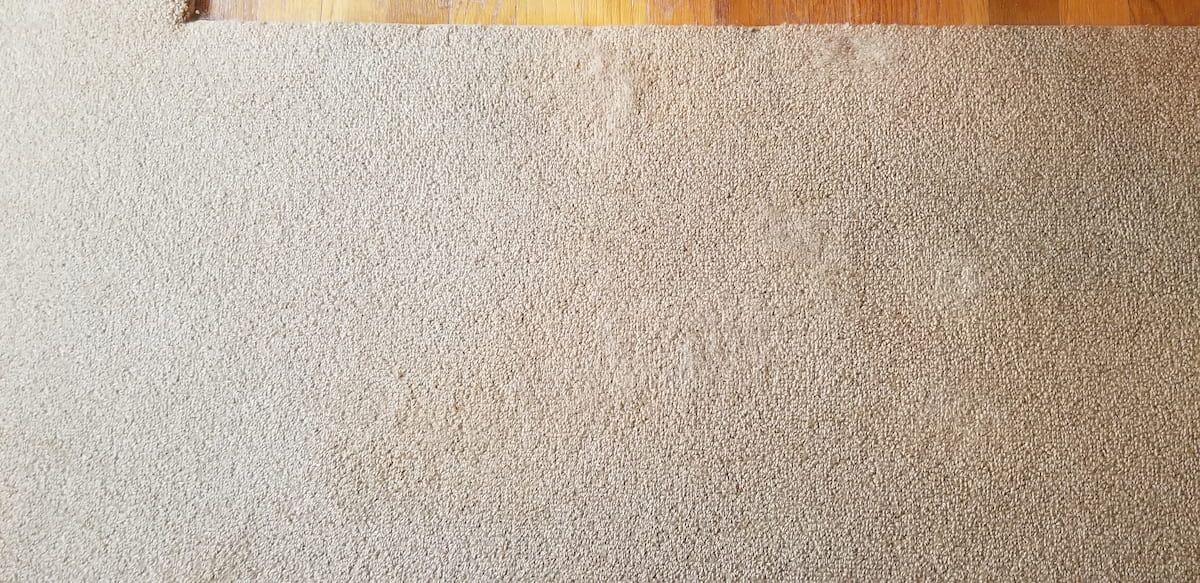 Successfully removed printer ink stain from wool beige carpet using specialized techniques and professional-grade stain removers