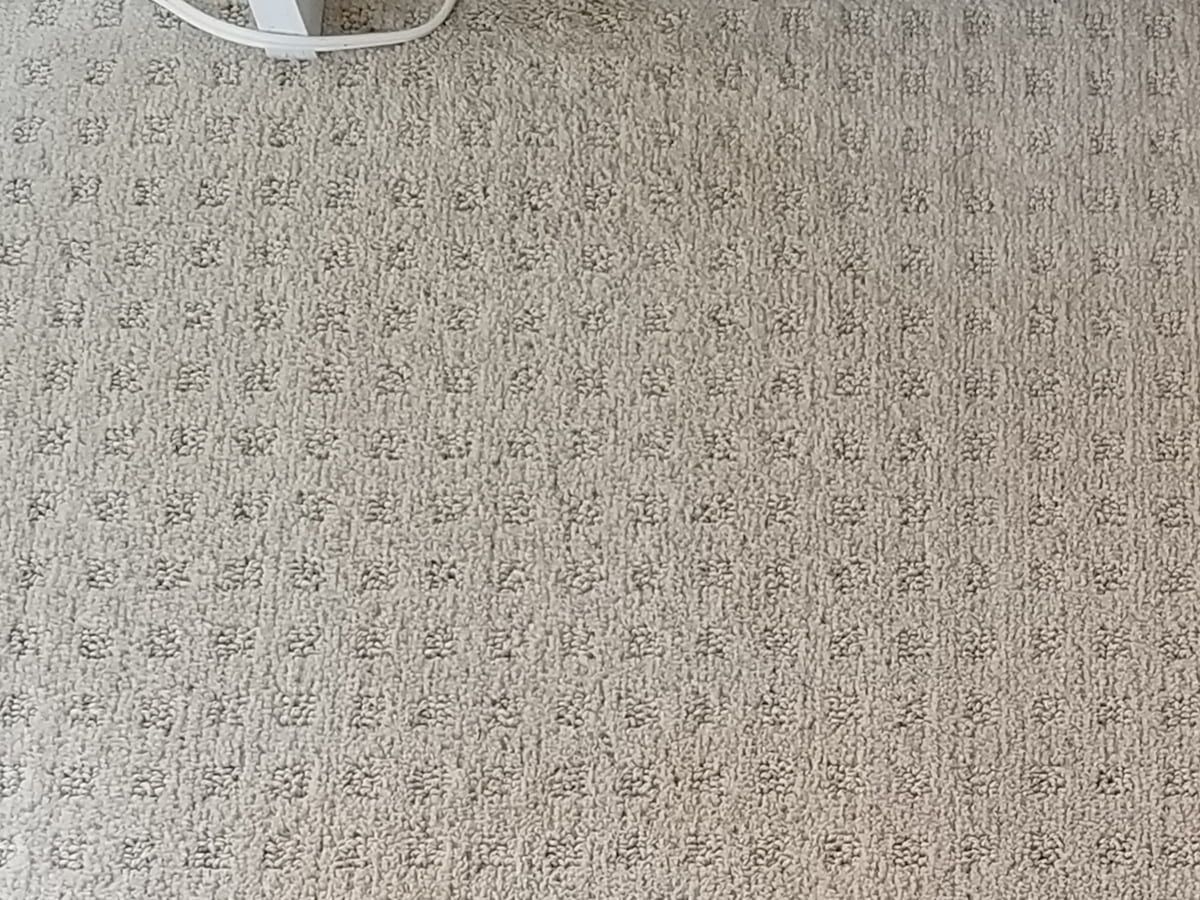 Residential carpet after professional deep cleaning, showing dramatic improvement in the removal of plant staining of appearance, and color restoration