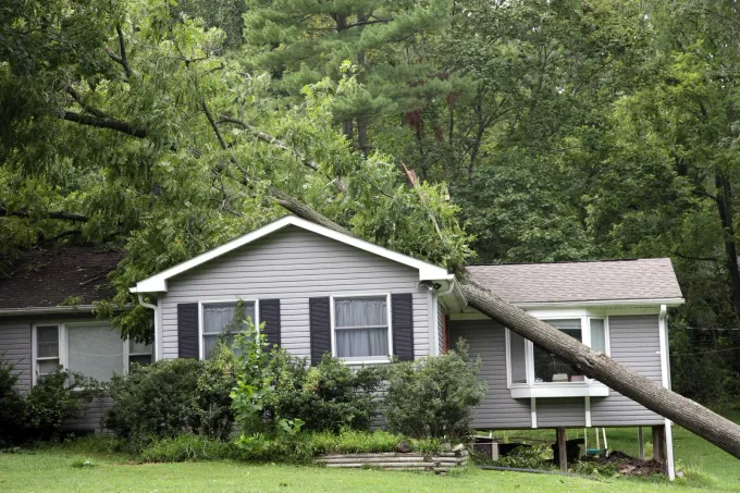 White house in a wooded yard with a large fallen tree leaning across the roof.