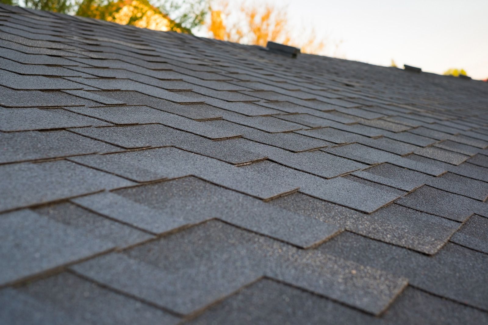 Close-up of a dark gray shingled roof with autumn trees in the background