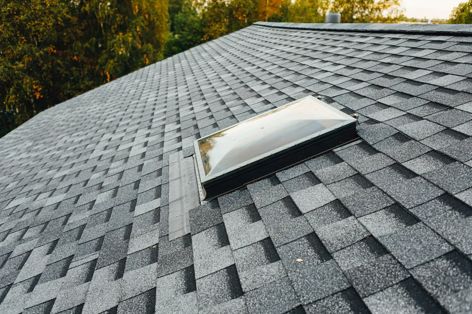 Roof skylight on a gray shingle roof with trees in the background