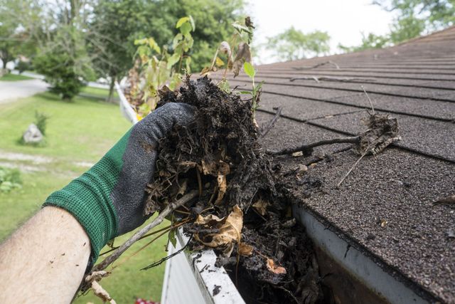 A person is cleaning a gutter of leaves from a roof.