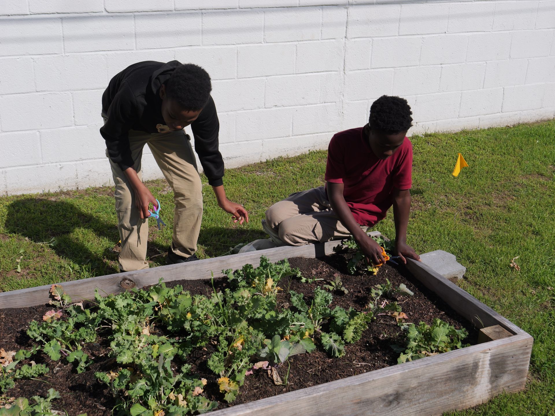 Two boys are kneeling in a garden looking at plants