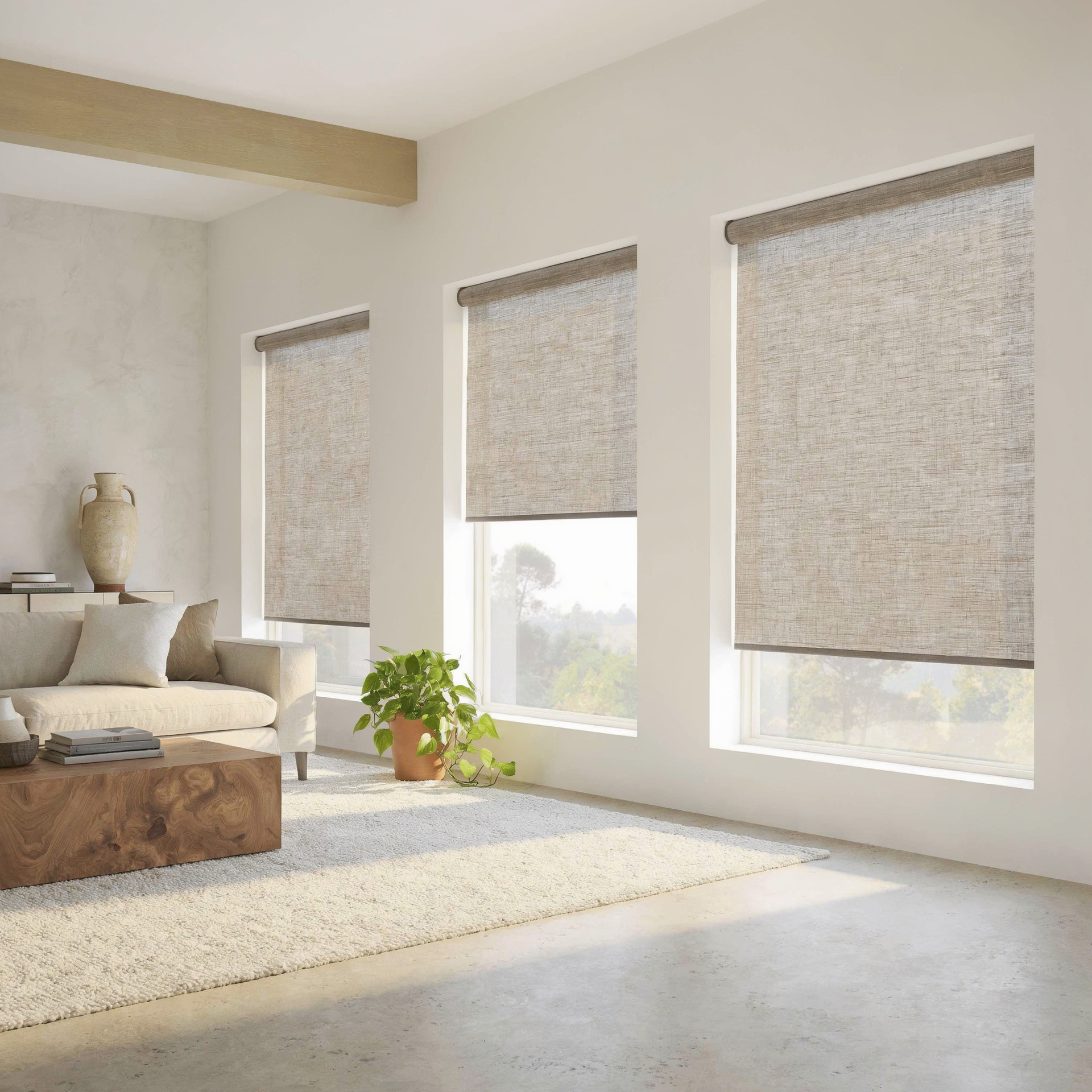 Bright sunlit living room with beige furniture, three windows with roller shades, and a plant on the floor