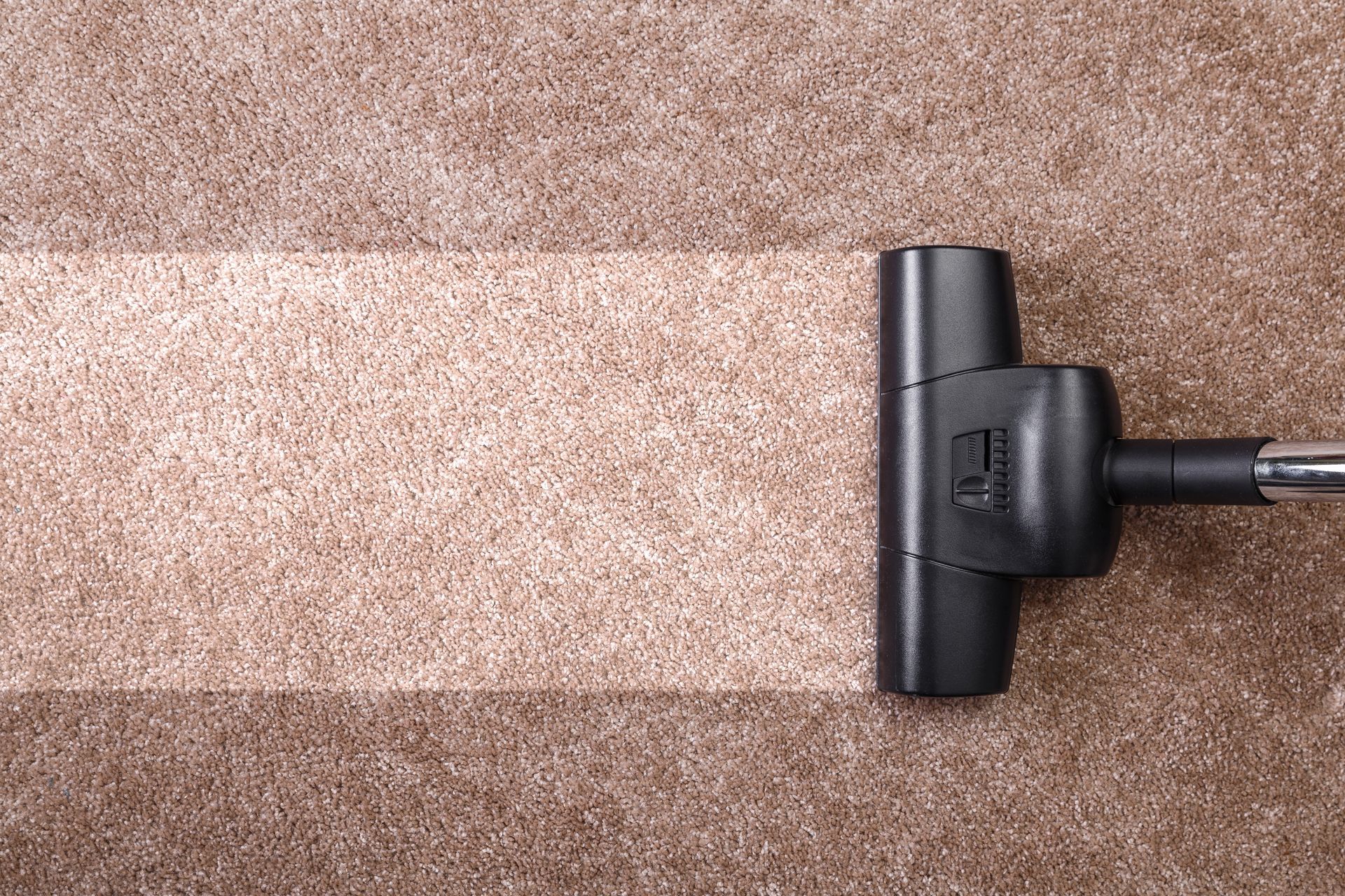 Empty room with beige walls, plush carpet, large windows, and an open white door.