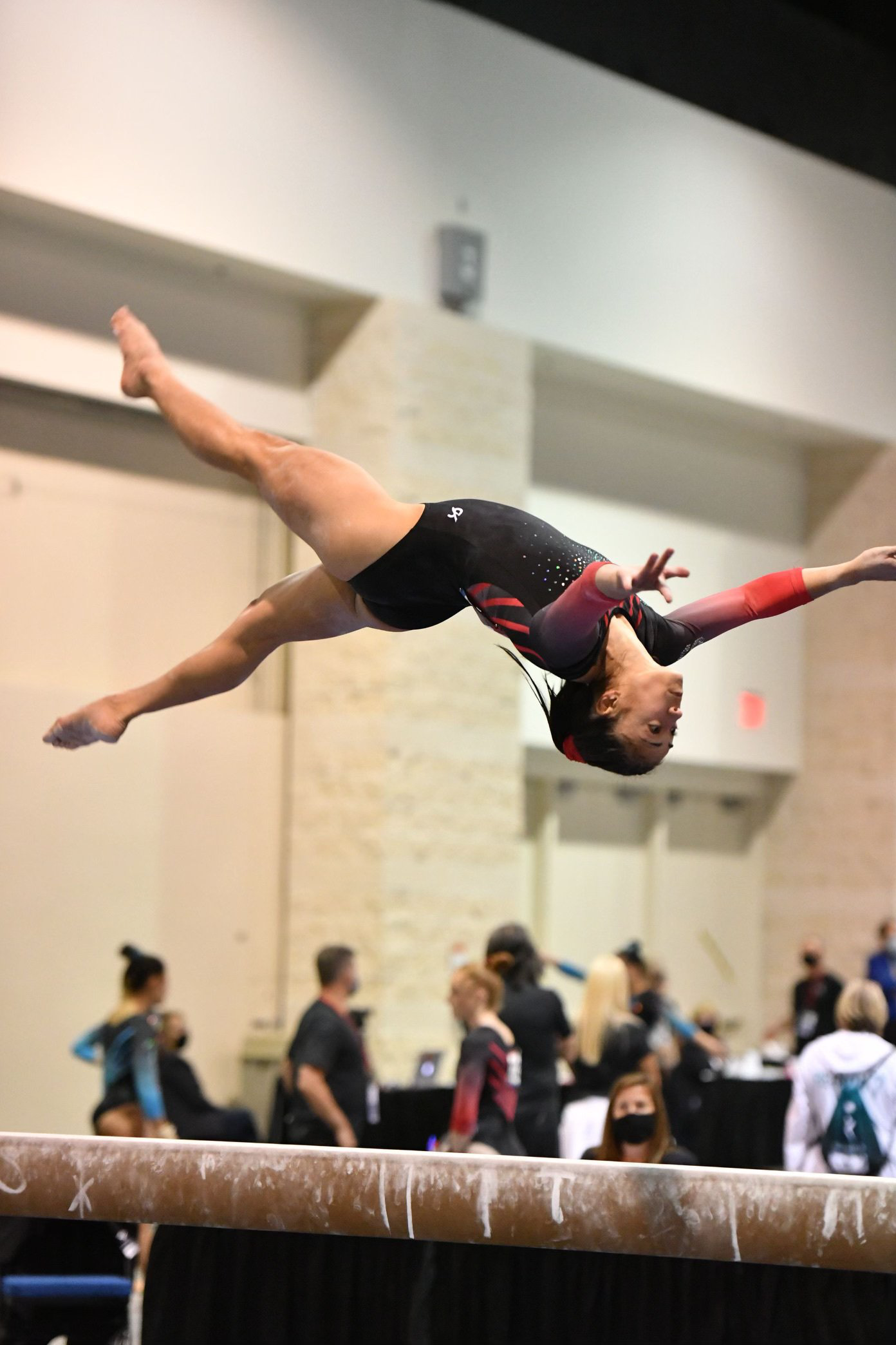 Western Mass Team Gymnastics Program