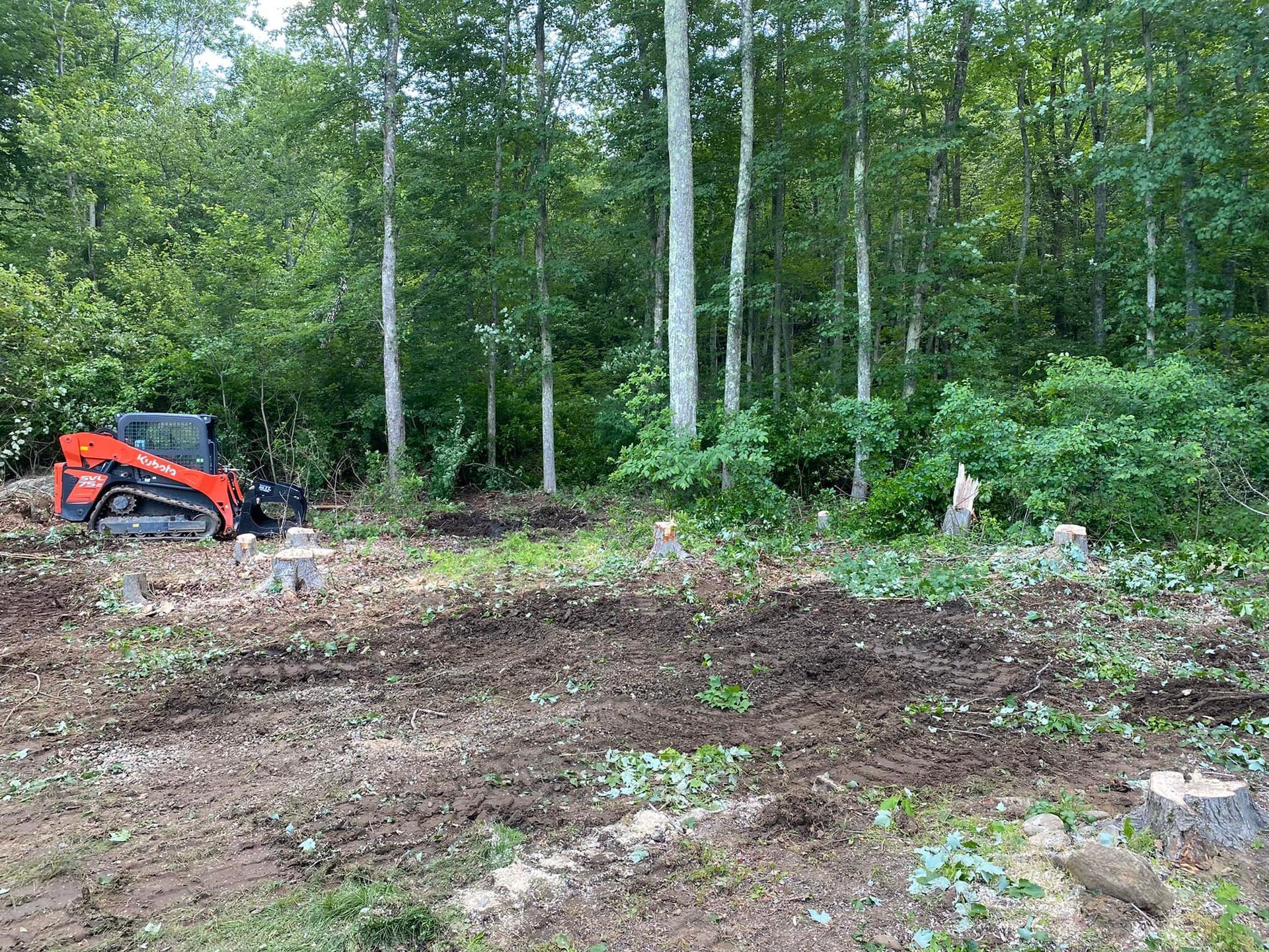 Orange skid steer on cleared ground near trees.