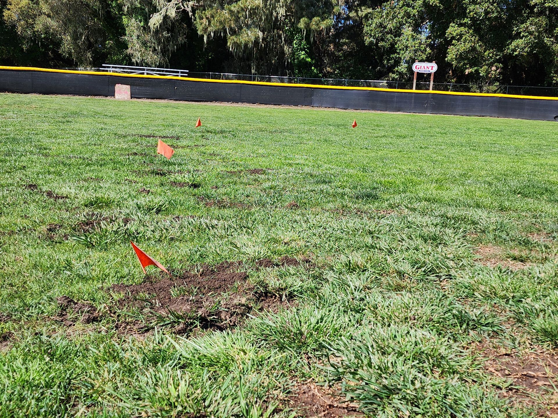 Grassy field with orange markers and small soil patches near a yellow boundary line