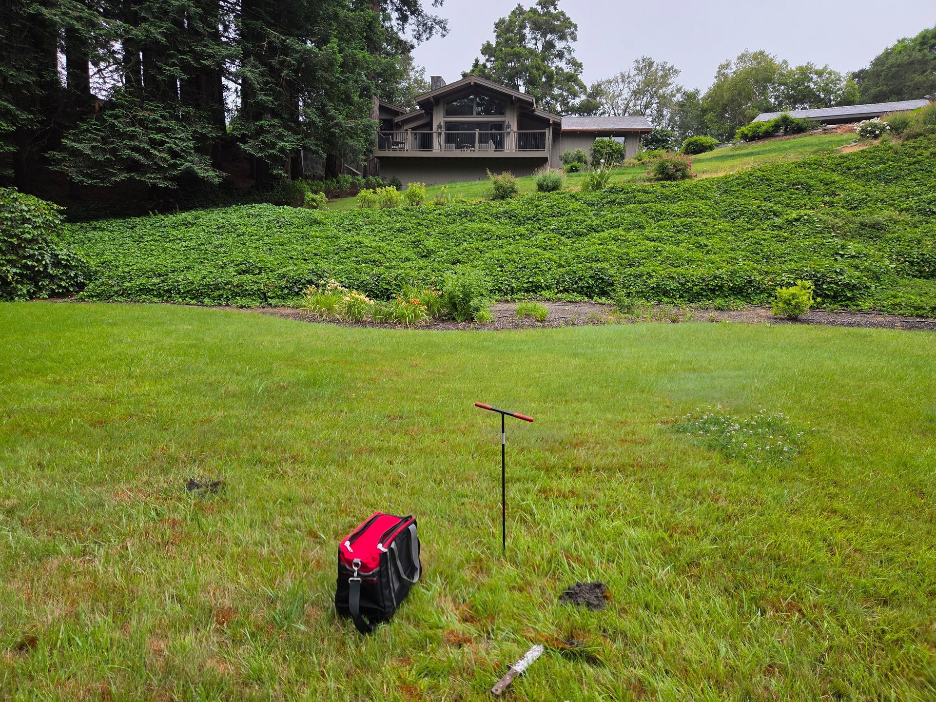 A grassy yard with a red and black device in the foreground and a house on a wooded hillside beyond.