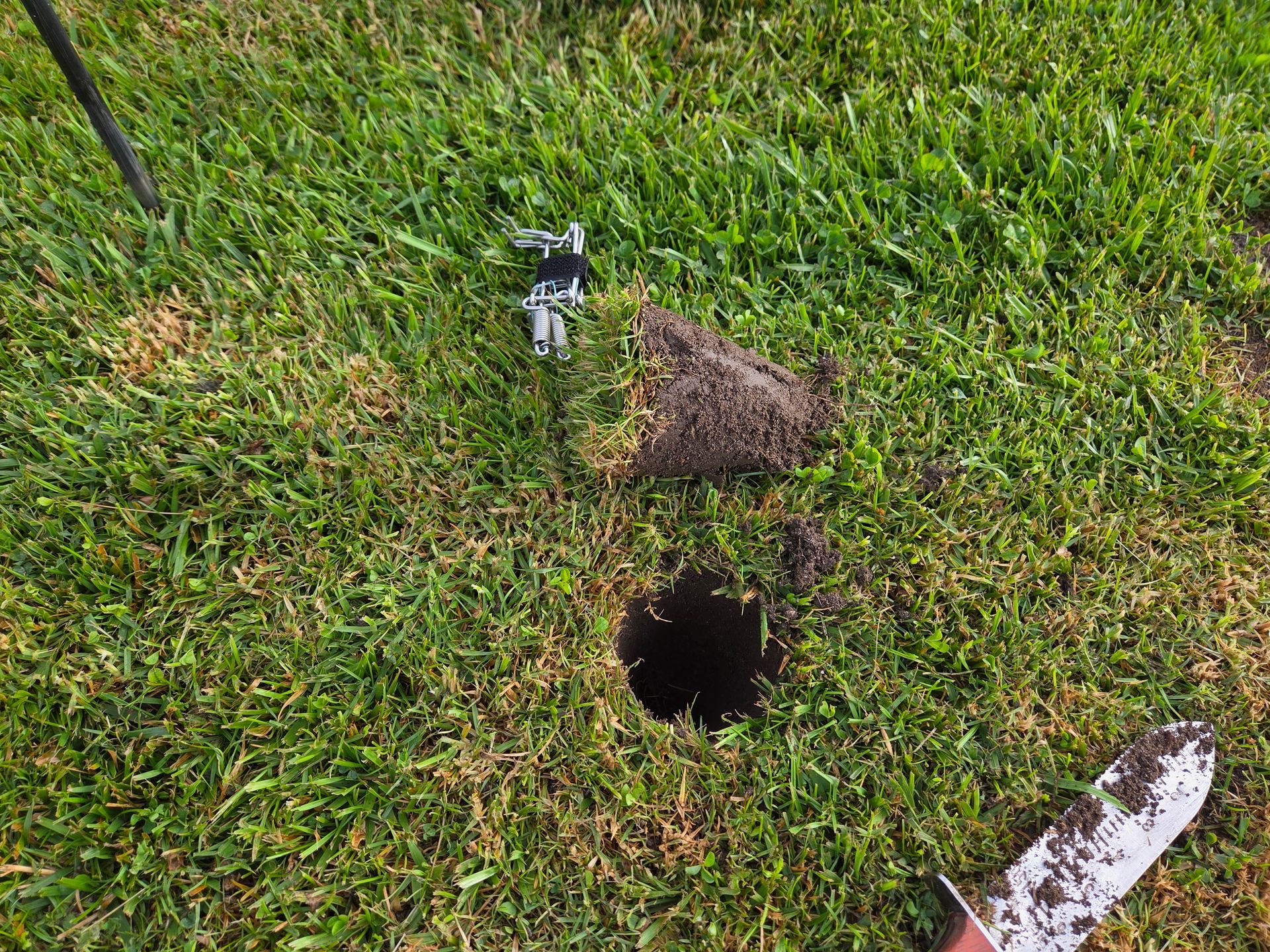 Small hole in a grassy lawn with a nearby dirt pile and scattered debris.