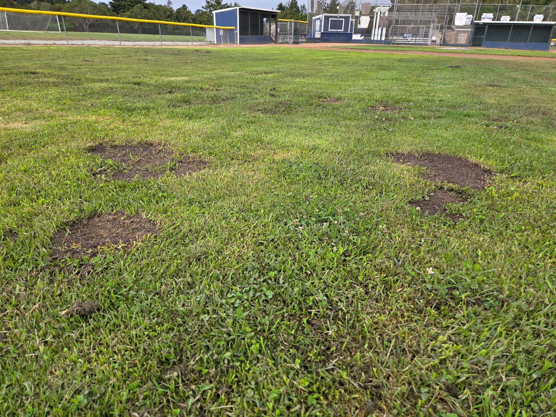 Patchy grass field with several bare dirt spots near a sports outfield fence.