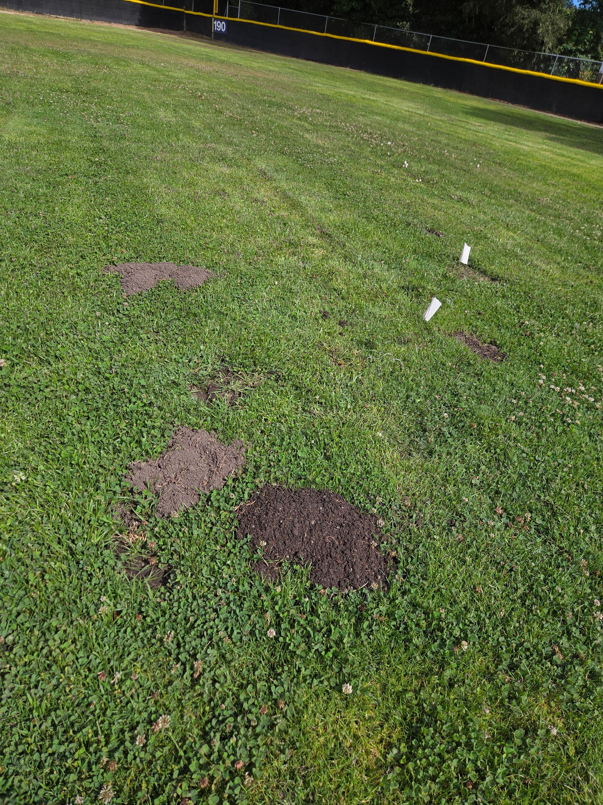 Patchy lawn with several brown dirt spots and a yellow caution tape in the background.