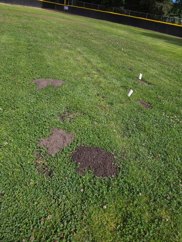 Patchy lawn with several brown dirt spots and a yellow caution tape in the background.