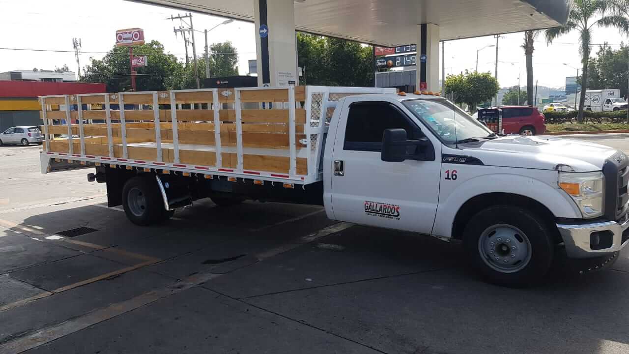 TRANSPORTES ESPECIALES GALLARDO - Unidades de redilas