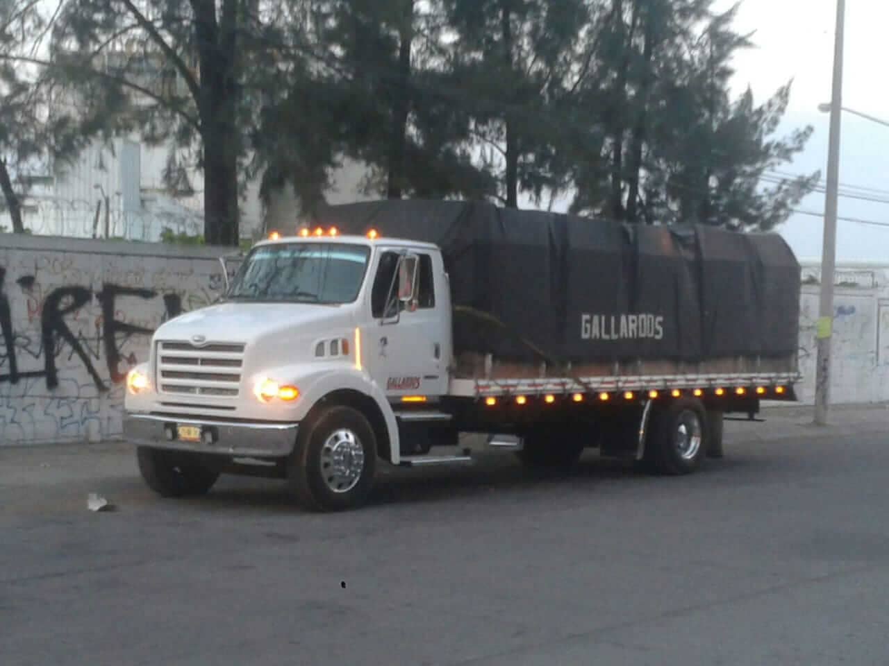 TRANSPORTES ESPECIALES GALLARDO - Plataformas extra largas