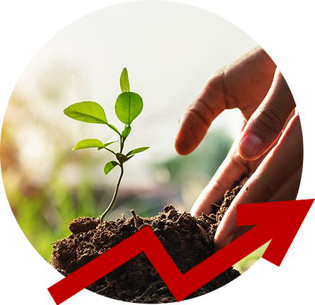 A person is holding a small plant in their hand.