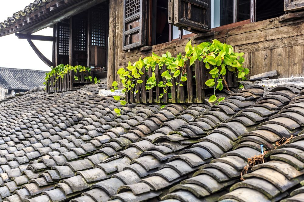 Old tiled roof with wooden planter boxes holding green plants near a window.