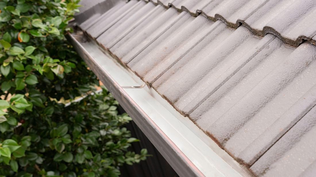 Gray roof tiles with a gutter next to a leafy green bush.
