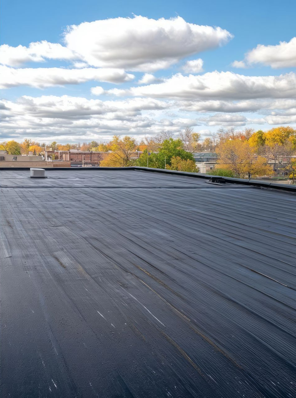Black, flat roof with a cloudy blue sky in the background, autumn trees in distance.