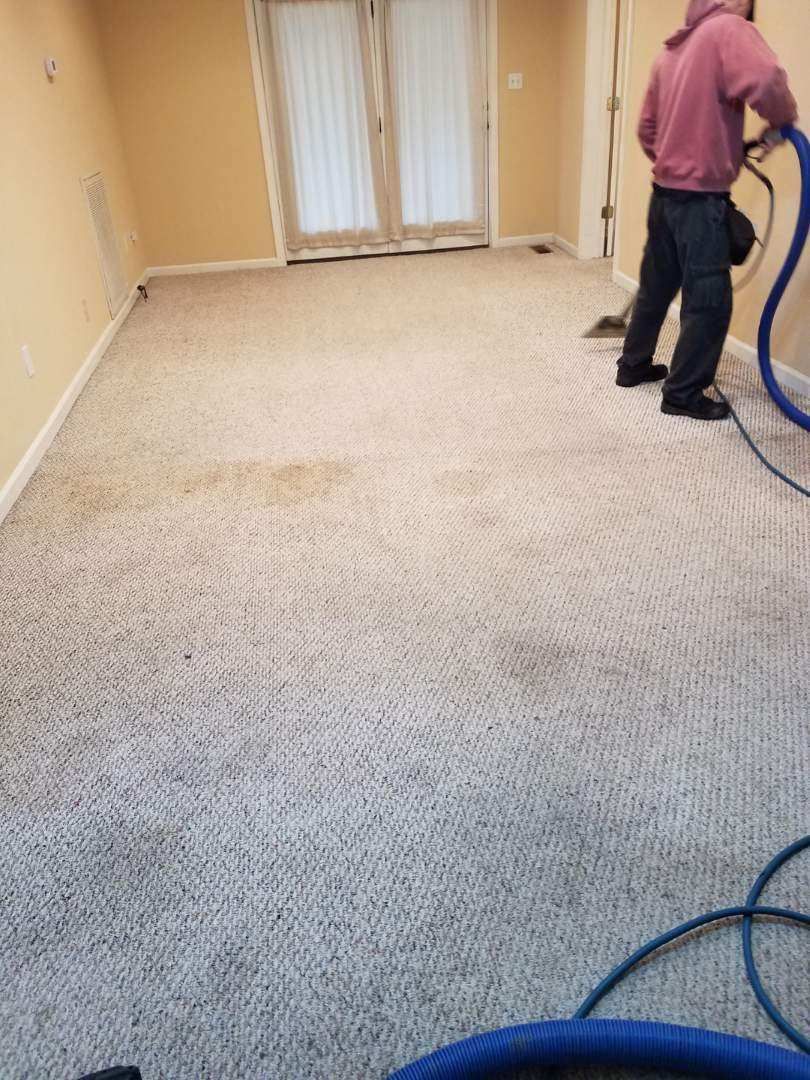Person cleaning a beige carpet with a blue hose in a room with cream walls and a glass door.