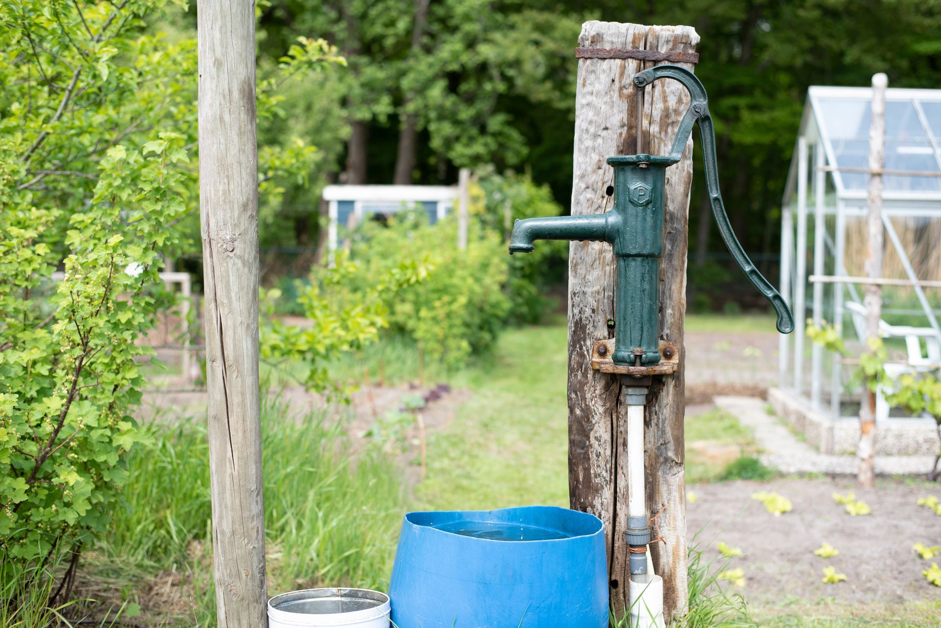 A water pump beside a bucket in a lush garden, surrounded by green plants and flowers