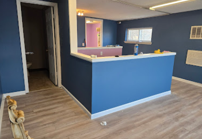 Empty blue interior with reception counter, wood floors, open doorway, and a small stuffed dog on the floor