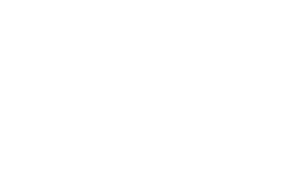 logo-image