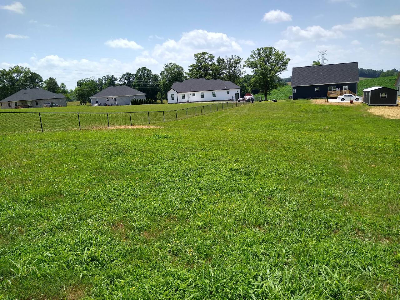 A lush green field with houses in the background