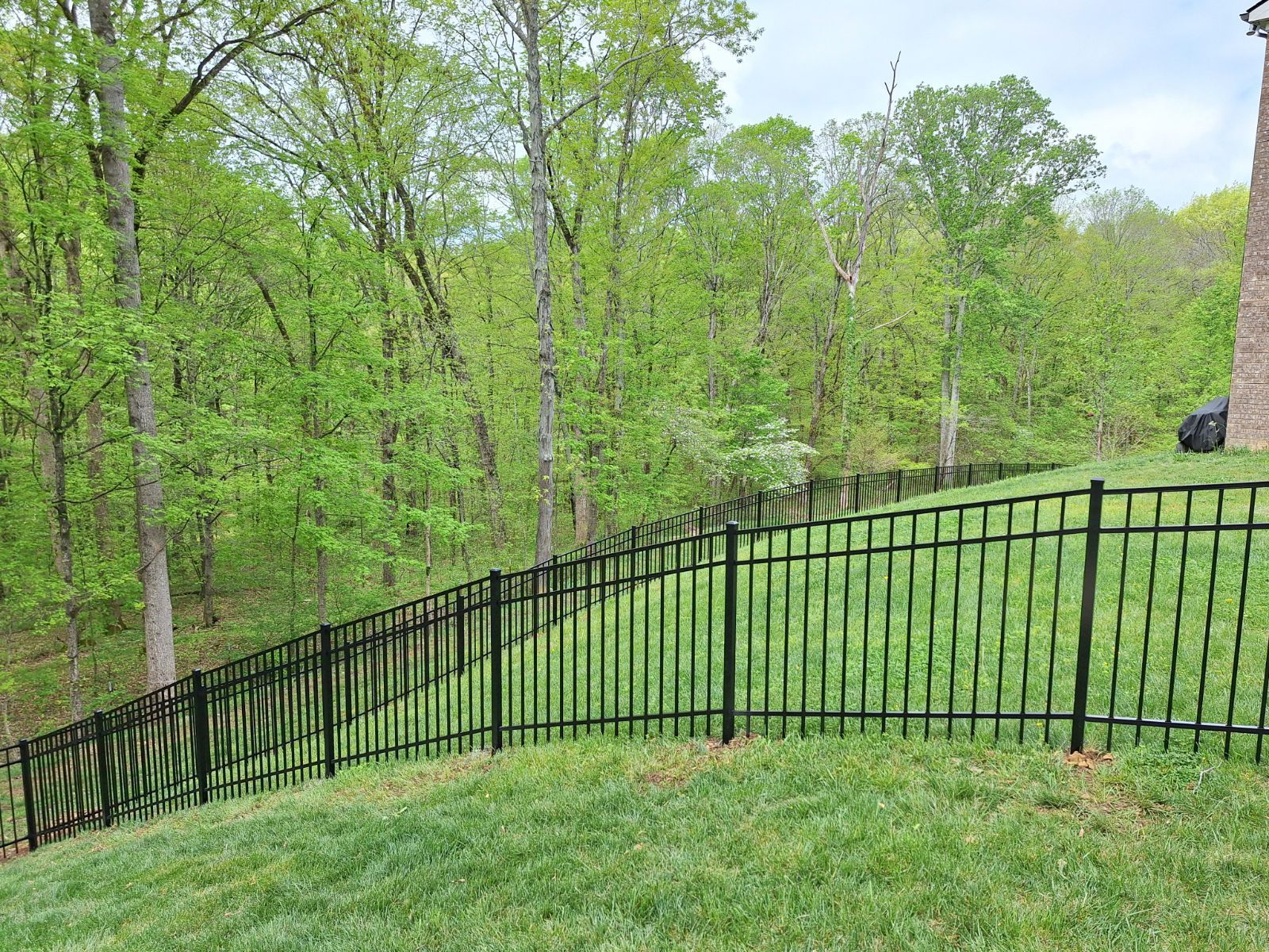 A black fence surrounds a lush green field with trees in the background.