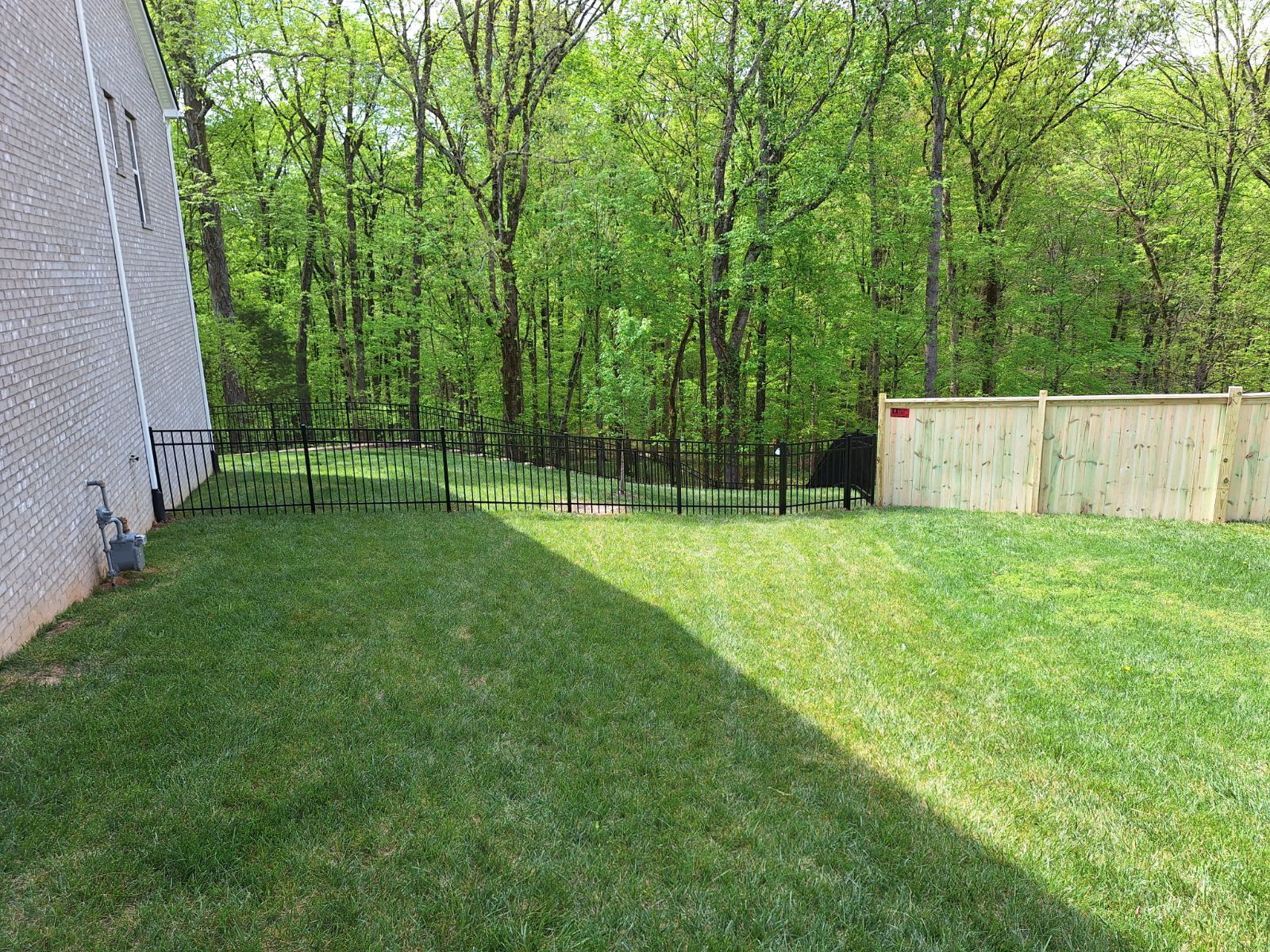 A backyard with a fence and trees in the background.