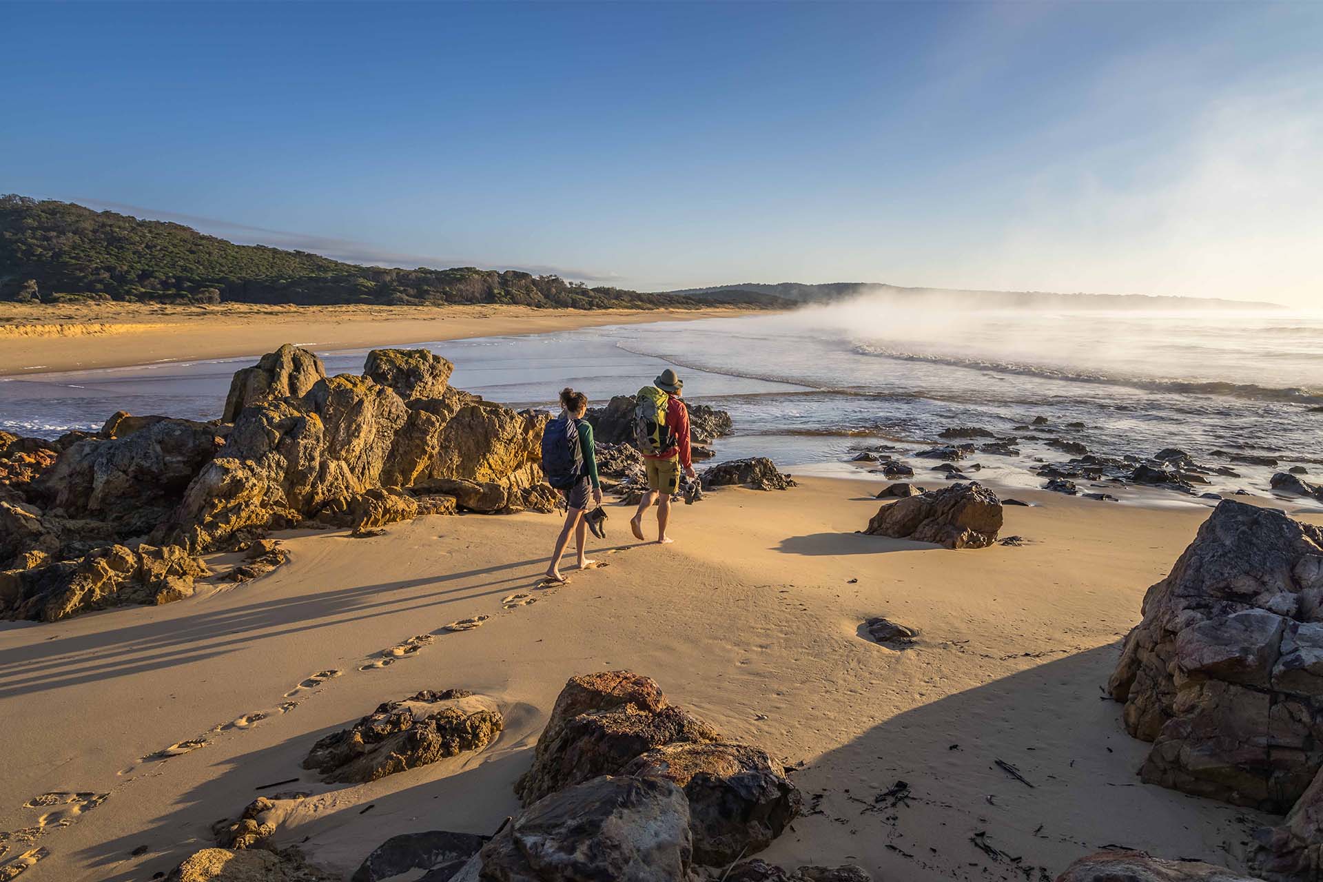 Wharf to Wharf Guided Walk | Sapphire Coast Guiding Co