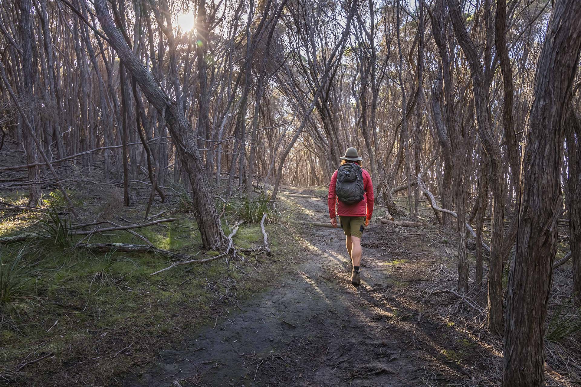 Wharf to Wharf Guided Walk | Sapphire Coast Guiding Co