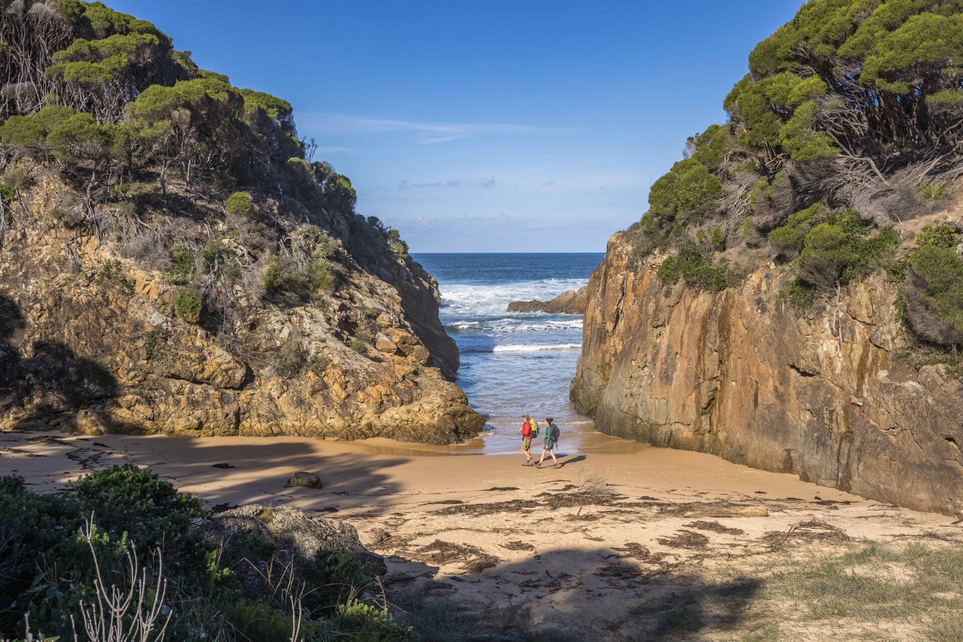 Wharf to Wharf Walk, South Coast, NSW, Sapphire Coast, Bournda National Park, Guided Walk, Walking Tour, Tathra, Merimbula