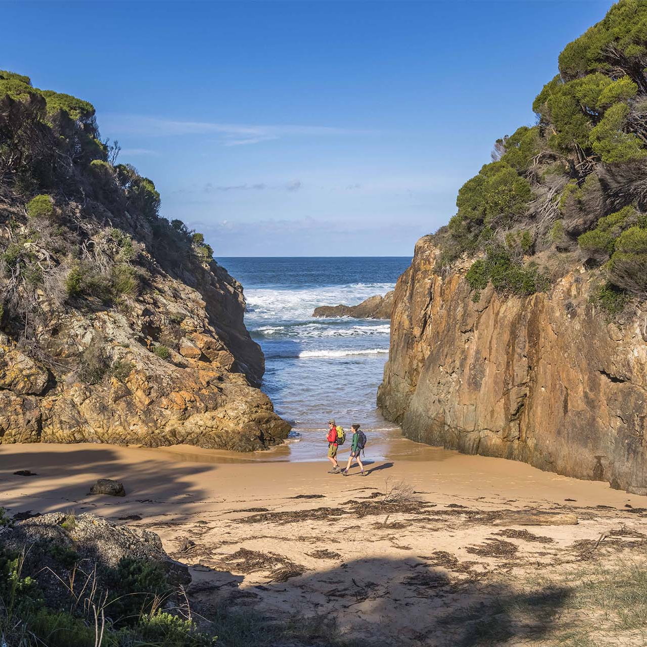 Guided Wharf to Wharf Walking Tour | Sapphire Coast Guiding Co
