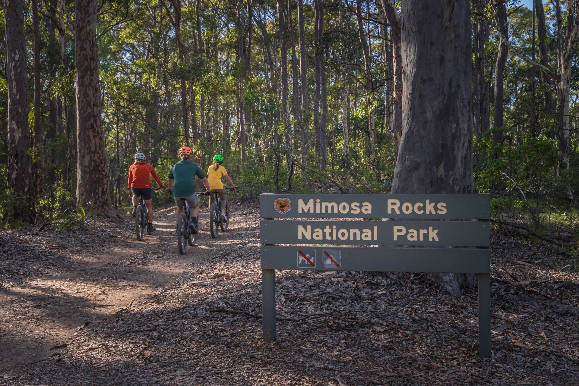 Sapphire Coast, NSW, South Coast, Biking tour, E-Bike, Mountain Bike, Mimosa Rocks National Park, Tathra
