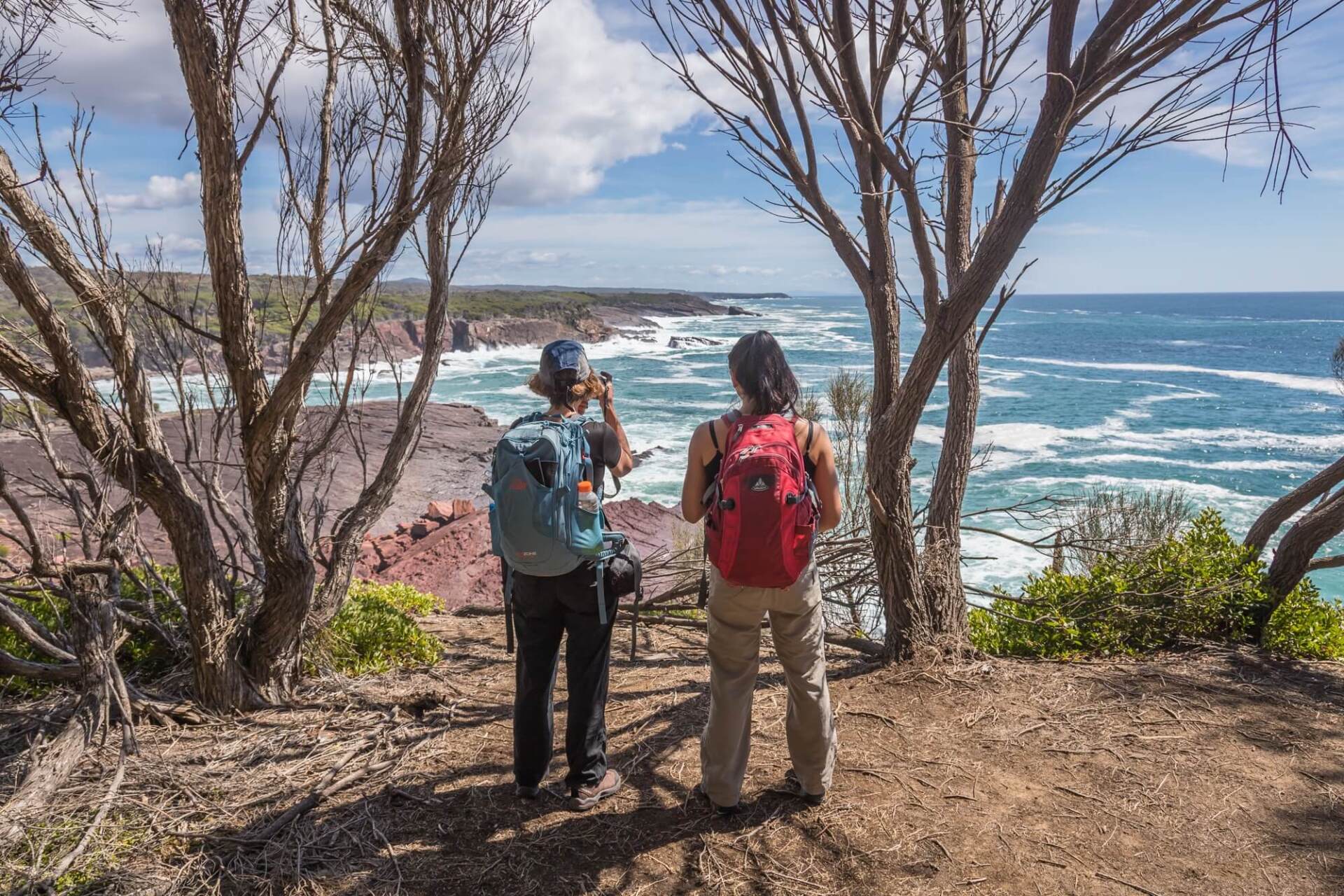 Sapphire Coast | Sapphire Coast Guiding Co