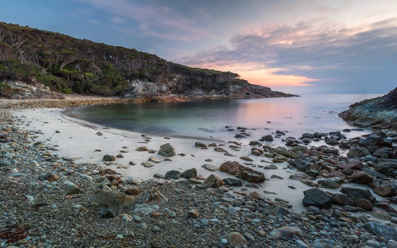 Wharf to Wharf Walk, South Coast, NSW, Sapphire Coast, Bournda National Park, Guided Walk, Walking Tour, Tathra, Merimbula