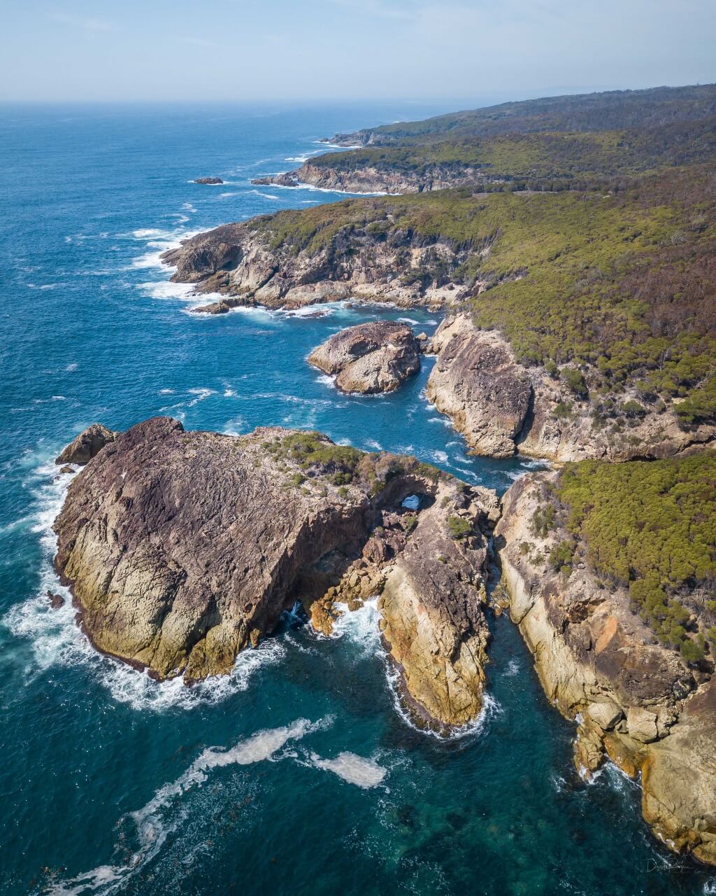 Wharf to Wharf Walk, South Coast, NSW, Sapphire Coast, Bournda National Park, Guided Walk, Walking Tour, Tathra, Merimbula