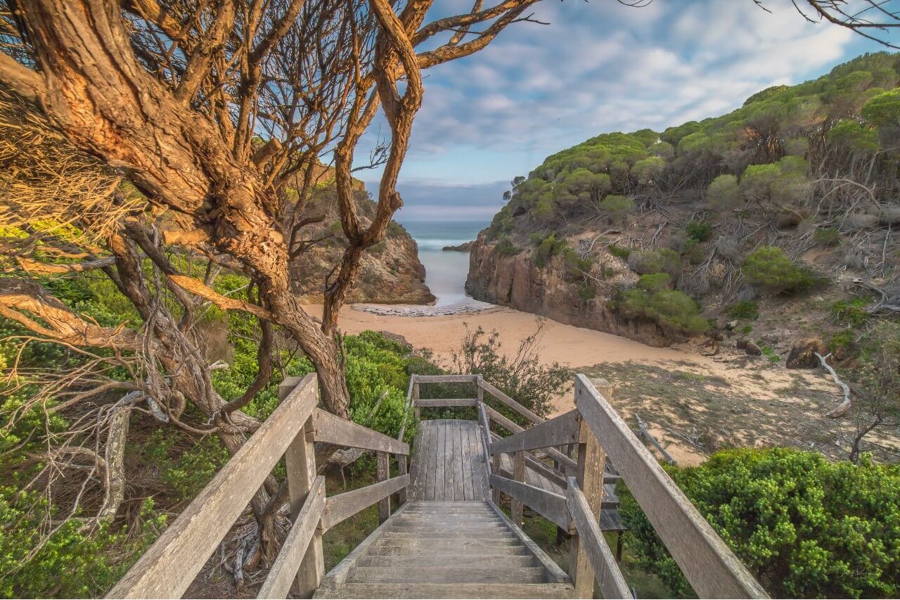 Guided Wharf to Wharf Walking Tour | Sapphire Coast Guiding Co