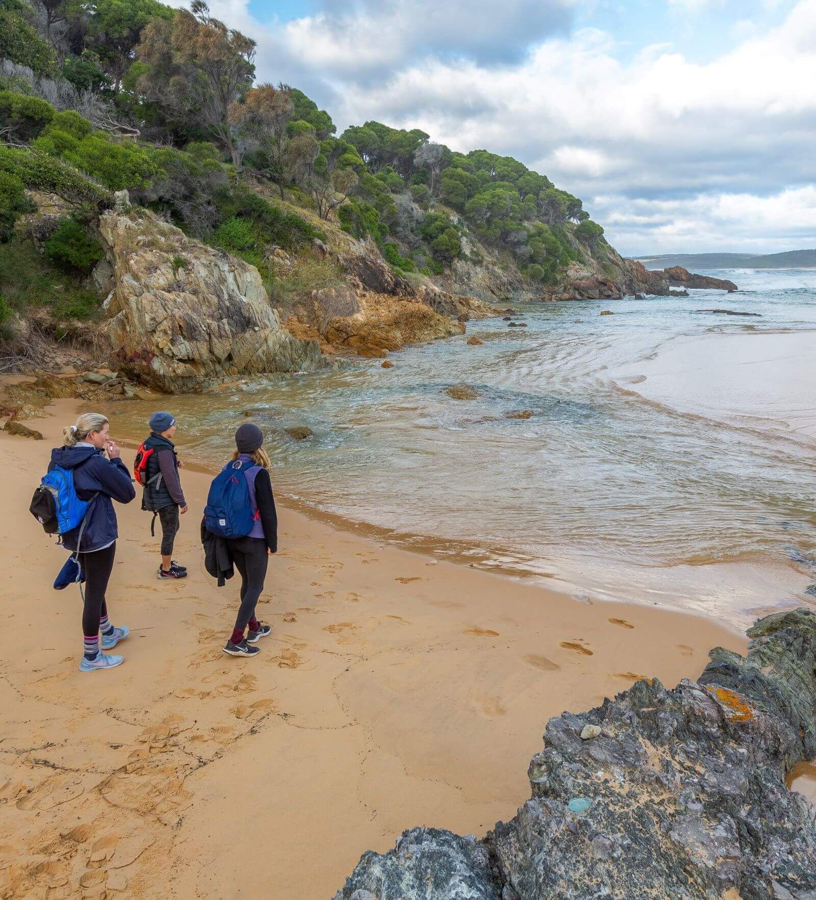 Wharf to Wharf Challenge | Sapphire Coast Guiding Co