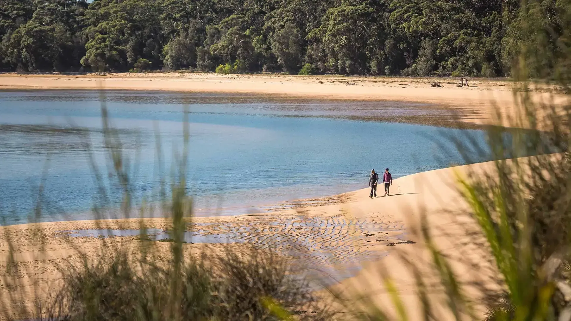 Other walks on the Sapphire Coast